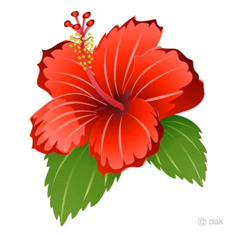 Hibiscus Flower Clipart Free Best Flower Site