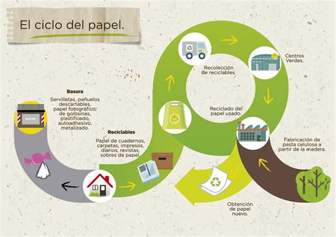 Proceso Del Reciclaje Del Papel Image To U
