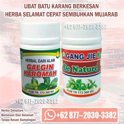 Aku sendiri tak tahu nama sebenar pokok/tumbuhan ini, tapi kenalanku kb khoo, menyatakan bahawa ianya amat mujarab untuk mengawal/memulih/merawat atau lebih tepat lagi mengeluarkan 'batu karang' /kidney stone* dalam badan terutamanya dalam pundi. Ubat Batu Karang Berkesan WA +62 877-2030-3382 - Home ...