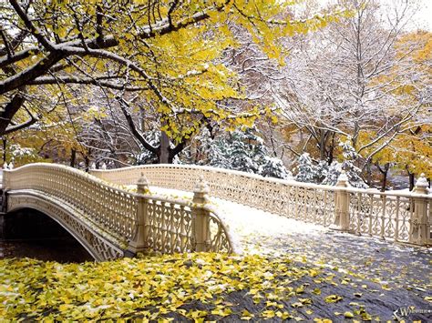 Wallpaper Bridge Park Autumn Leaves Snow 1600x1200