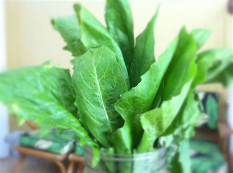 The greens would be the leaves. DandeLION Smoothie | My Edible Sunshine