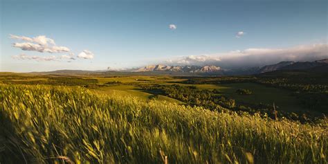 Grasslands Biome Climate