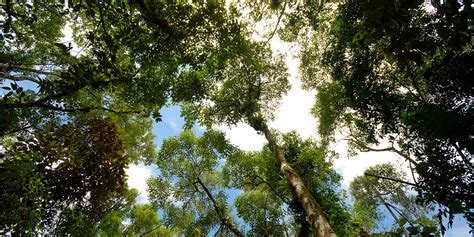 What does fuja stand for? Parque do Zizo | Fuja