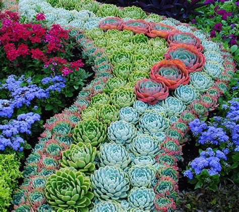 15 Delightful Succulent Gardens That Will Inspire You Page 2 Of 2