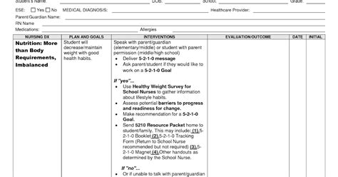 Example Of A Nursing Care Plan Template Collections