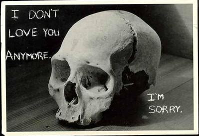 Check spelling or type a new query. I Don't Love You Anymore I'm Sorry :: Sorry ...