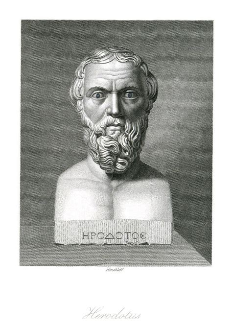 Herodotus Greek Historian Artwork Photograph By Humanities And Social