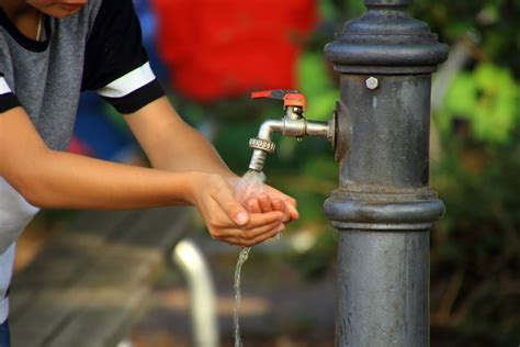 Maybe you would like to learn more about one of these? Trinkbrunnen im Garten anlegen