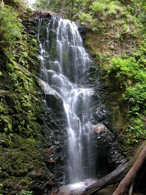 The kadoorie family or khedouri (hebrew: Berry Creek Falls