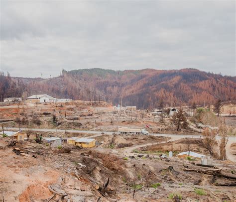 Ecologists fight against industrial tree plantations. 2017_Fire in Monoculture Plantations - Marcos Zegers