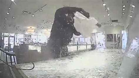 Video Dramatic Smash And Grab At Florida Jewelry Store