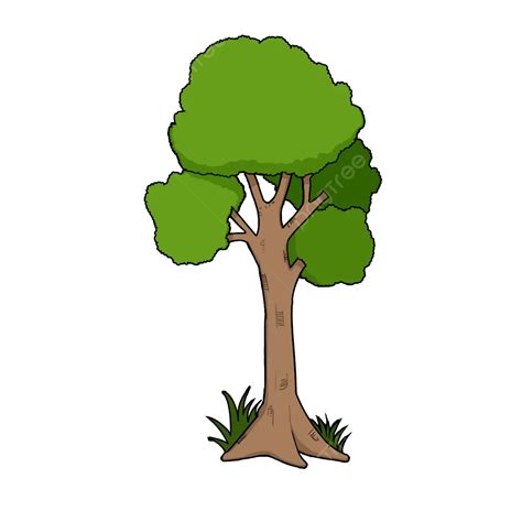 Tree Vector Cartoon Tree Vector Tree Clipart Tree Cartoon Png