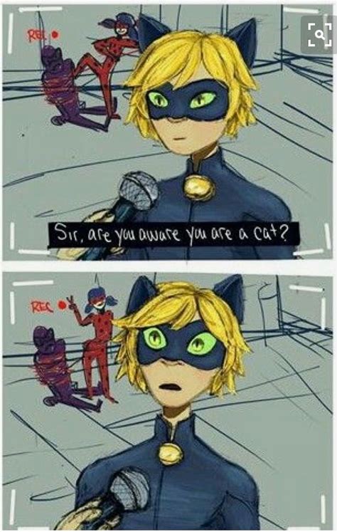Pin By Olivia On Miraculous Ladybug And Chat Noir Miraculous Ladybug
