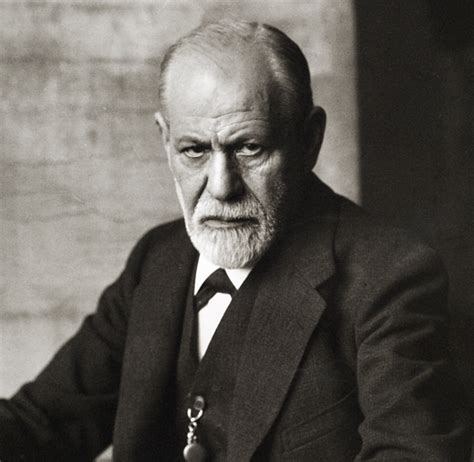 Freud O Idealizador Da Psicanálise