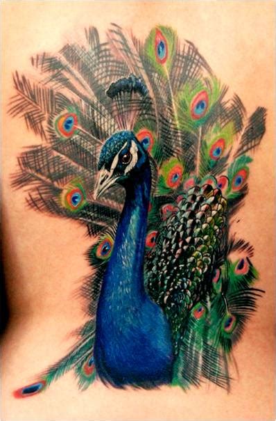 Check spelling or type a new query. Zoom Tattoos: Peacock Tattoos and Meaning
