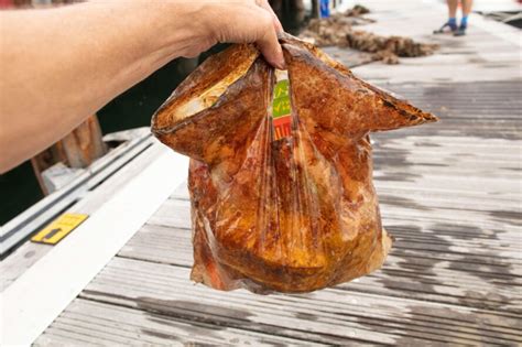 Biotec bags® with enzyme compounded polyethylene constitutes of enzymes, sodium salts and oxidation agents with ldpe / hdpe and lldpe is a highly cost effective and eco. Study shows biodegradable plastic bags still hold ...