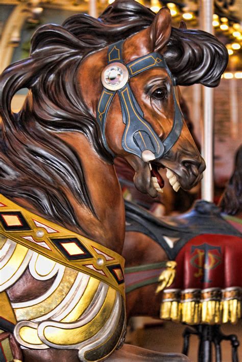 Carousel | Fabienne Naamo Photography | Flickr