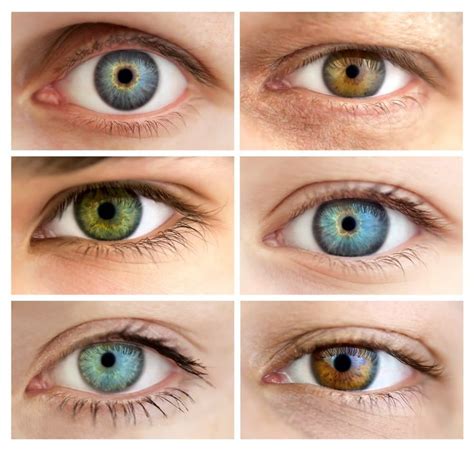 What Shades Of Blue Eyes Are There Google Search In Eye Color
