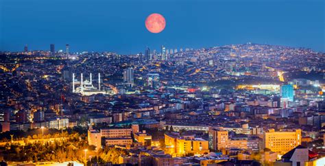 The turks will be always glad to meet you and to treat you to a. Turkish Video Promoting Free Markets An Immediate Hit in ...