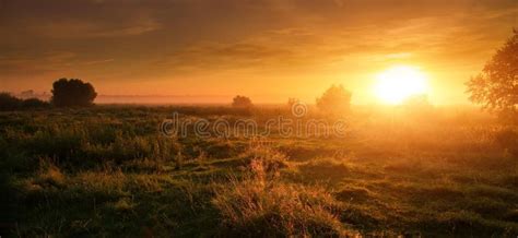 Wonderful Dramatic Scene Fantastic Foggy Sunrise Over The Meadow With