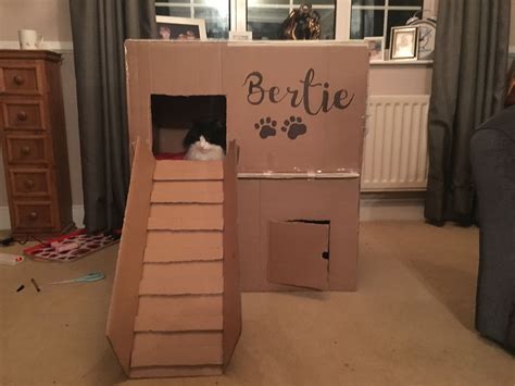 Cat House Diy Cardboard Box From A Sofa🐱 Cat House Diy Cardboard