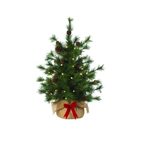 Martha stewart christmas tree home depot. Martha Stewart Living 24 in. Pre-Lit LED Bristle Cone Pine ...