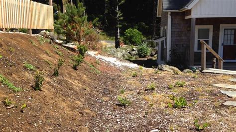 Photos rates availability details inquire. Olivia Beach Camp Cabins - Outside Tour - YouTube