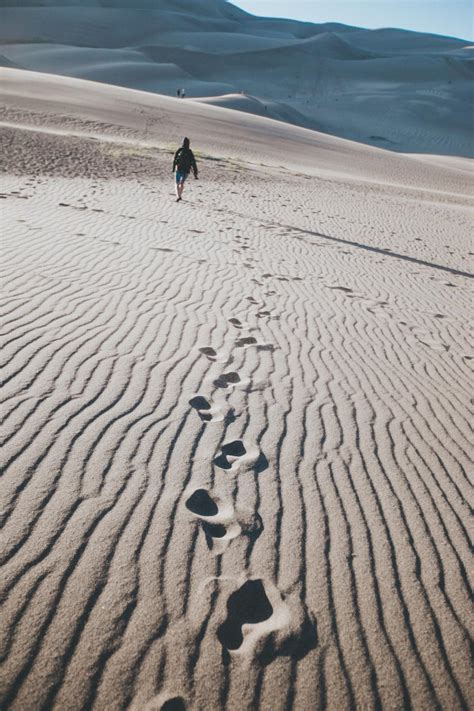 People Walking Travel Desert Footprints Sunny Day Landscape