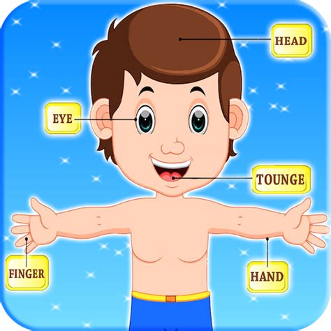 Learning Human Body Parts For Kidsamazonesappstore For Android