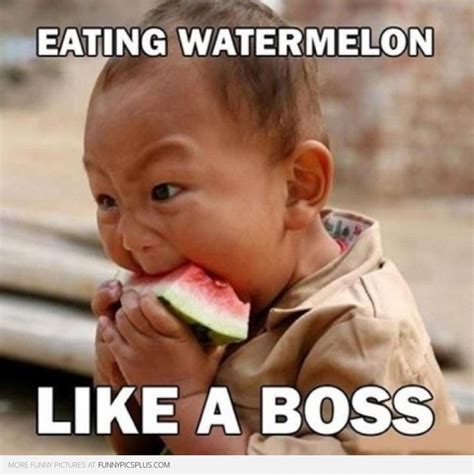 Ridiculous Funny Pictures - Pelfind