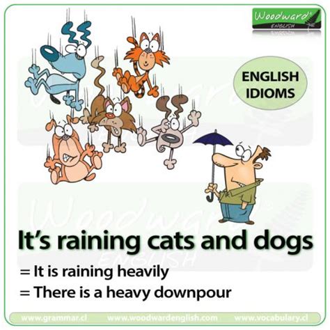 Its Raining Cats And Dogs Woodward English