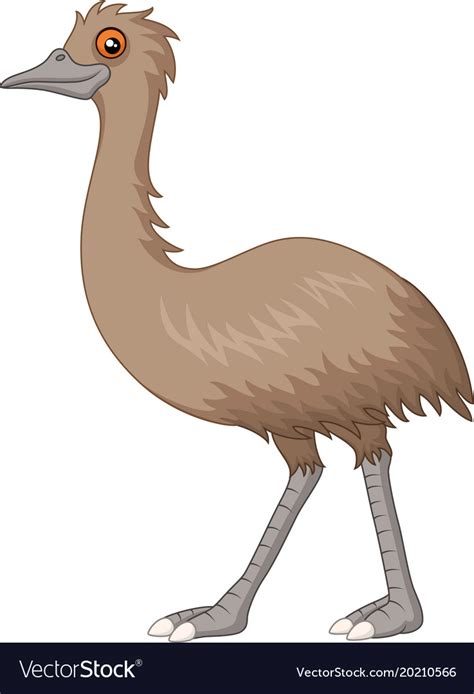 Cartoon Emu Isolated On White Background Vector Image