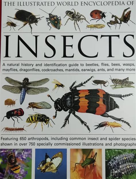 หนังสือแมลง ประวัติแมลงทั่วโลก ภาษาอังกฤษ The Illustrated World