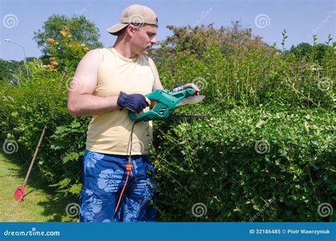Man Cuts Home Hedge Stock Image Image Of Care Fashion 32186485