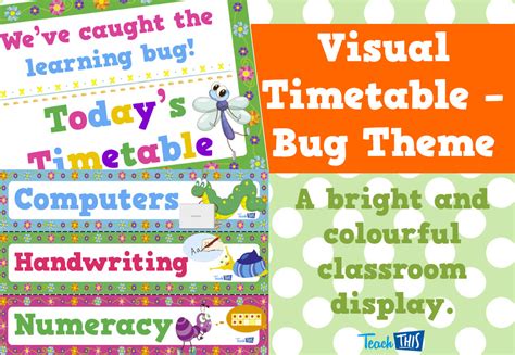 Visual Timetable Bugs Theme Printable Classroom Displays Teacher