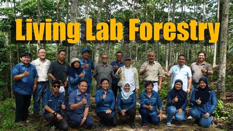 Ums Lancar Makmal Hidup Perhutanan Living Lab Forestry Pertama Di