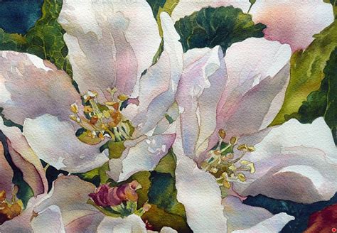 Apple Blossoms By Yvonne Hemingway Watercolor 11 X 14 Floral