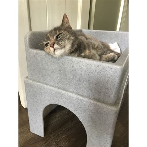 Maybe you would like to learn more about one of these? Hide & Sleep | Buy from the Cats Protection Shop