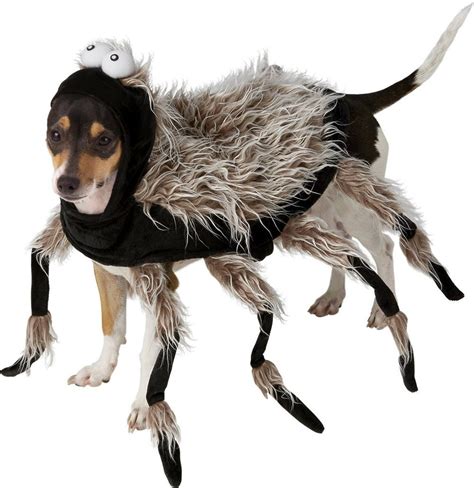 48 Of The Best Dog Halloween Costume Ideas For Your Pooch Dog