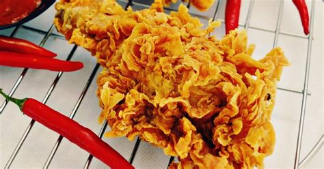 Anda harus coba satu per satu 20 resep olahan ayam rumahan paling enak ini, karena hampir setiap orang menyukai daging ayam, sekalipun orang yang yang takut dengan ayam hidup. Resep Ayam KFC KW Super Kribo | Renyah Tahan 8 Jam | Cocok Untuk Jualan oleh Wardat El Ouyun ...