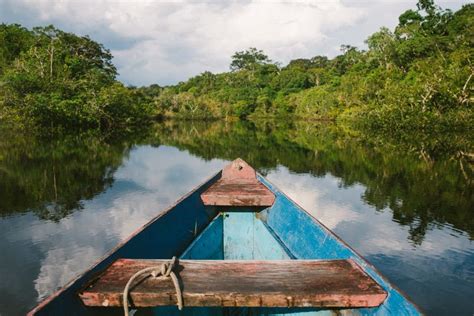 Amazon Jungle Tours From Manaus