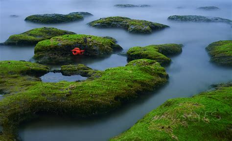 Explore tommyajohansson's photos on flickr. Tide Pool | Oregon Coast Strawberry Hill JPR_3655edit_wm ...