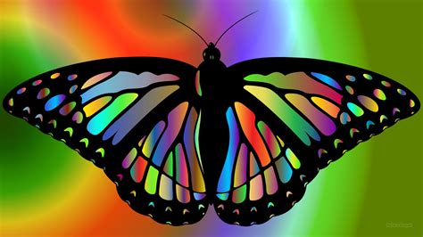 Colorful Butterfly Wings K Wallpaper Hd Wallpapers Images And Photos The Best Porn Website