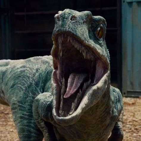 Jurassic World Review One Of The Most Exciting Movies About People