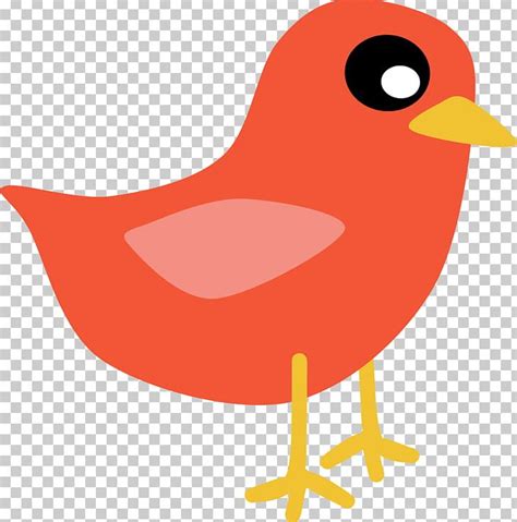 Mountain Bluebird Free Content Png Clipart Art Beak Bird Blue