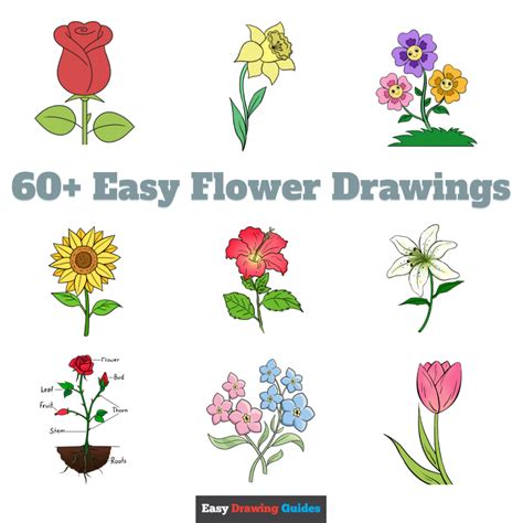 60 Easy Flower Drawings With Step By Step Tutorials