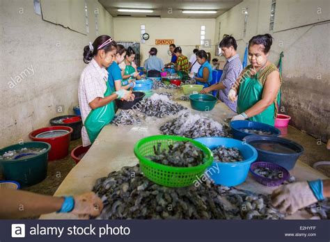 Myanmar Coup Workers High Resolution Stock Photography And Images Alamy