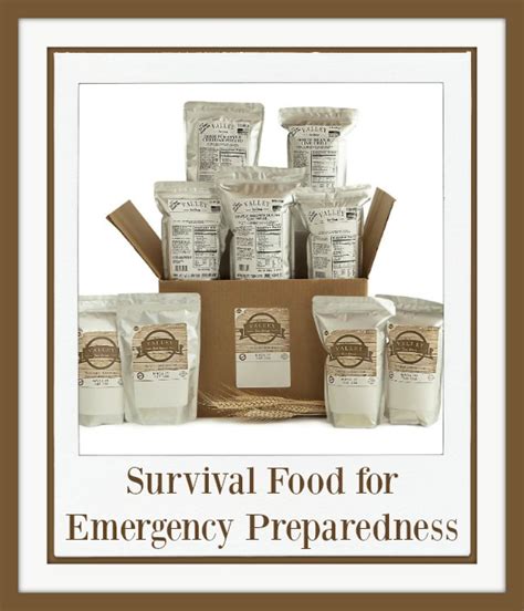 Survival Food For Emergency Preparedness Simply Sherryl