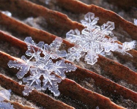 Images Of Real Snowflakes