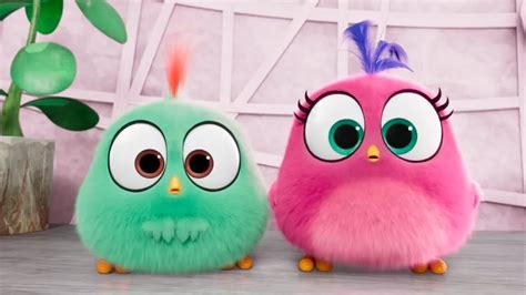 Angry Birds Movie 2 Mothers Day Hatchlings Video Youtube